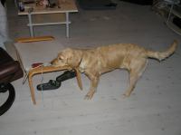 PB160066.JPG - 2005:11:16 21:01:48