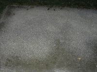 PB160073.JPG - 2005:11:16 21:57:17