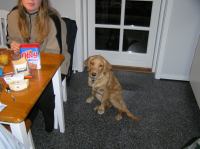 PB170076.JPG - 2005:11:17 07:27:26