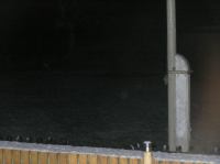 PB170083.JPG - 2005:11:17 08:11:22