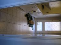 PB190087.JPG - 2005:11:19 10:41:05