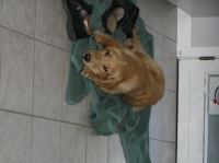 PB190088.JPG - 2005:11:19 10:41:09