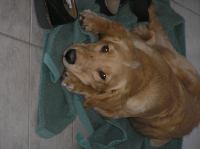 PB190089.JPG - 2005:11:19 10:41:18