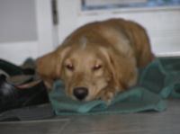 PB190090.JPG - 2005:11:19 10:41:31