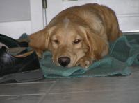 PB190091.JPG - 2005:11:19 10:41:40