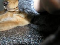 PB190092.JPG - 2005:11:19 10:42:14