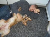 PB190094.JPG - 2005:11:19 10:42:27