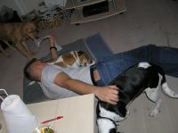 PB190097.JPG - 2005:11:19 21:59:17