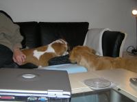 PB190100.JPG - 2005:11:19 22:11:38