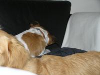 PB190101.JPG - 2005:11:19 22:11:45