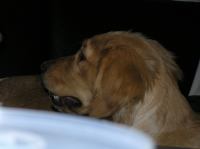 PB190102.JPG - 2005:11:19 22:11:52