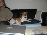 PB190104.JPG - 2005:11:19 22:12:18