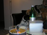 PB190105.JPG - 2005:11:19 22:12:28