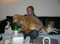 PB190106.JPG - 2005:11:19 22:12:35