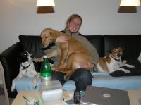 PB190107.JPG - 2005:11:19 22:12:43