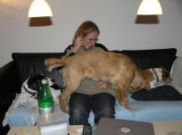 PB190110.JPG - 2005:11:19 22:13:03