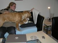 PB190111.JPG - 2005:11:19 22:13:07