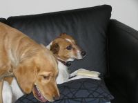 PB190113.JPG - 2005:11:19 22:13:29