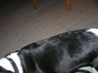 PB190114.JPG - 2005:11:19 22:13:45