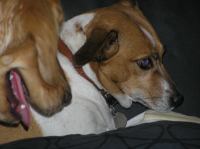 PB190115.JPG - 2005:11:19 22:13:56