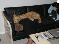 PB200116.JPG - 2005:11:20 20:42:01