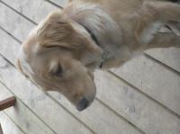 PB270117.JPG - 2005:11:27 14:47:36