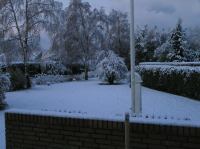 PB290118.JPG - 2005:11:29 08:40:28