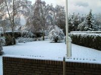 PB290118_2.jpg - 2005:11:29 08:40:28