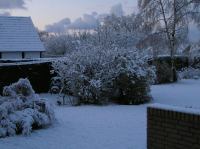 PB290119.JPG - 2005:11:29 08:40:31