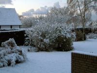 PB290119_2.jpg - 2005:11:29 08:40:31