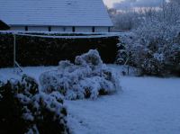 PB290120.JPG - 2005:11:29 08:40:34