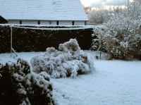 PB290120_2.jpg - 2005:11:29 08:40:34