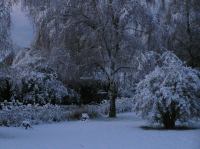 PB290122.JPG - 2005:11:29 08:40:50