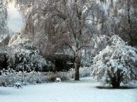 PB290122_2.jpg - 2005:11:29 08:40:50