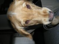 PC040125.JPG - 2005:12:04 11:00:06