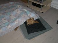 PC100133.JPG - 2005:12:10 18:10:52