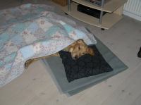 PC100134.JPG - 2005:12:10 18:10:56