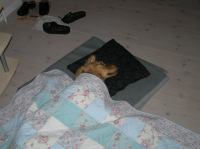 PC100136.JPG - 2005:12:10 18:11:13