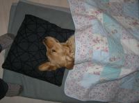 PC100138.JPG - 2005:12:10 18:11:26