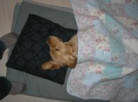 PC100139.JPG - 2005:12:10 18:11:30