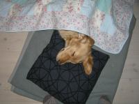 PC100140.JPG - 2005:12:10 18:11:49