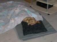 PC100142.JPG - 2005:12:10 18:12:06