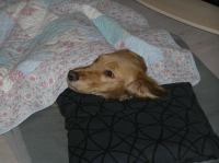 PC100143.JPG - 2005:12:10 18:12:13