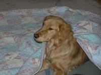 PC100144.JPG - 2005:12:10 18:12:24