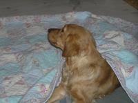 PC100145.JPG - 2005:12:10 18:12:30