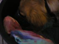 PC180156.JPG - 2005:12:18 10:18:35