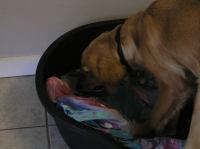 PC180158.JPG - 2005:12:18 10:18:45