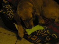 PC240159.JPG - 2005:12:24 09:20:18