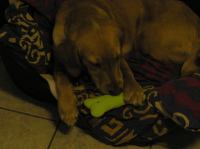 PC240160.JPG - 2005:12:24 09:20:22