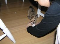 PC240165.JPG - 2005:12:24 09:41:14